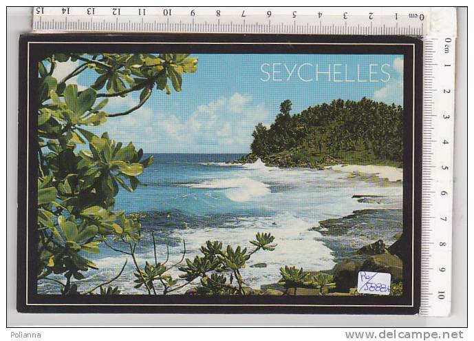 PO5888A# SEYCHELLES - BAIA POLIZIA - POLICE BAY  VG 1985 - Seychelles