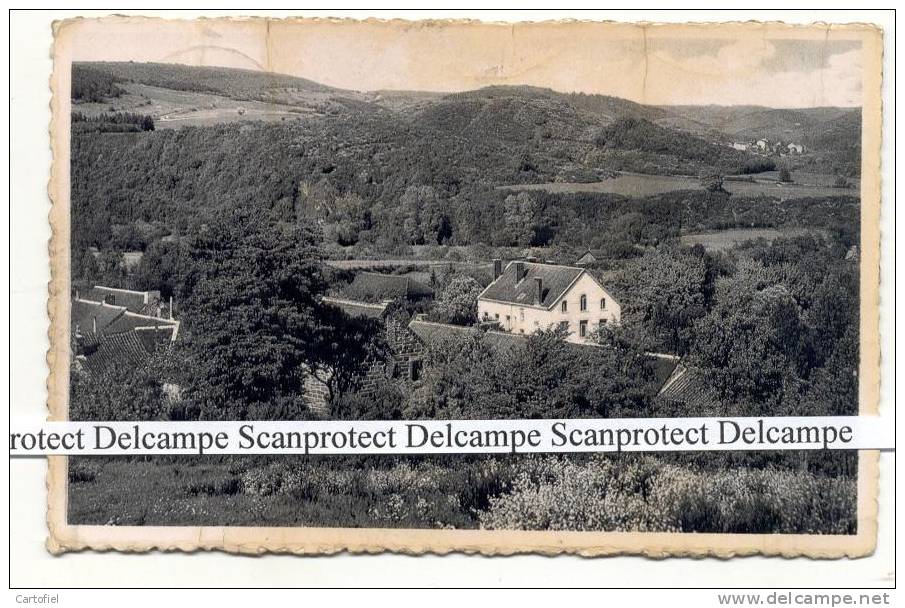 OLLOY-SUR-VIROIN-PANORAMA  SUR  LA VALLEE-DANS LE LOINTAIN-LE VILLAGE DE VIERVES - Viroinval