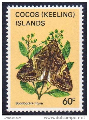 Cocos (Keeling) Islands 1982 Butterflies & Moths 60c MNH  SG 96 - Cocos (Keeling) Islands