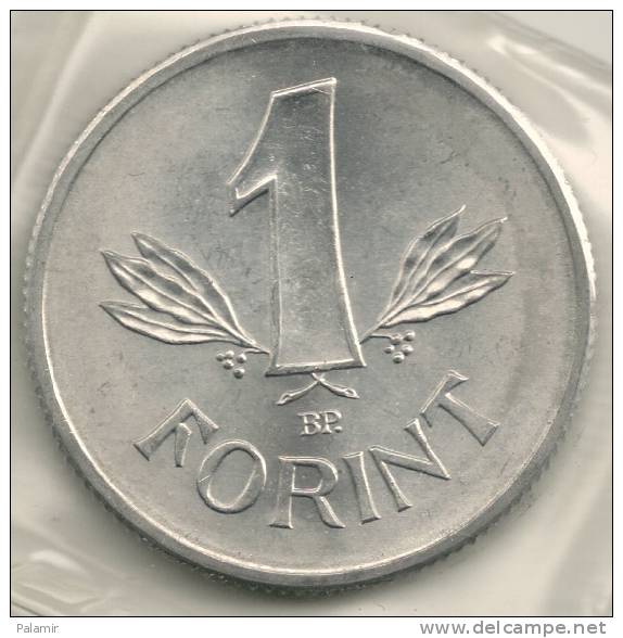 Hungary Ungheria 1  Forint  KM#575  1976 - Hungría