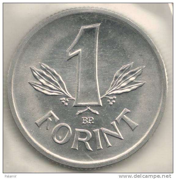 Hungary Ungheria 1  Forint  KM#575  1987 - Hongrie