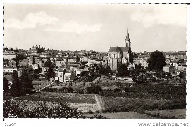 49 - MAINE Et LOIRE - MONTREVAULT - Vue Générale - Dentelée - Format  8,8 X 13,8 - Montrevault