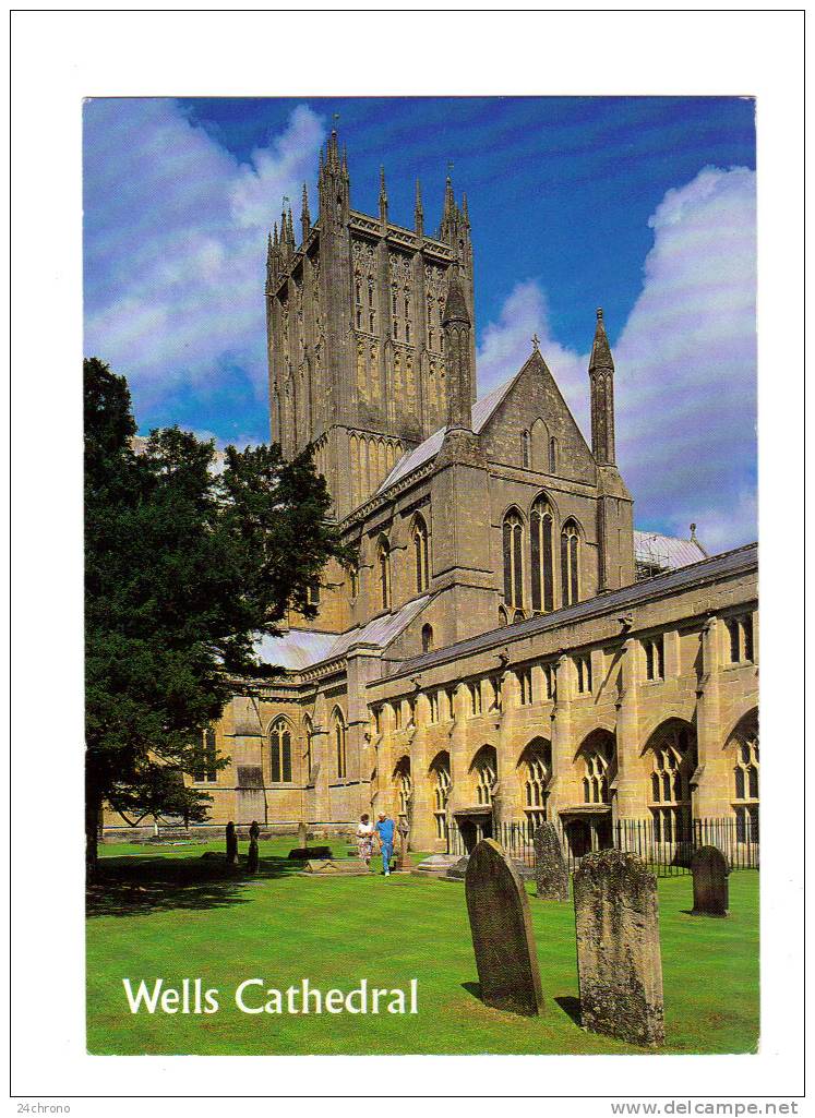 Royaume Uni: Wells Cathedral, Cathedrale, Tombes (11-264) - Wells