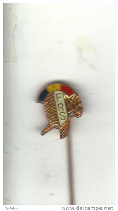 Romanian Fencing Federation Pin Badge - Fechten