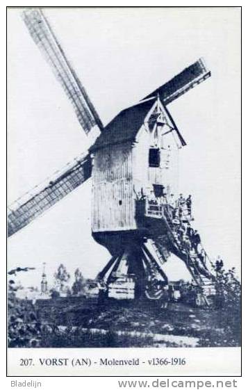 VORST Bij Laakdal (Antw.) - Molen/moulin - Blauwe Postkaart Ons Molenheem Van De Standaardmolen Op Het Molenveld - Laakdal