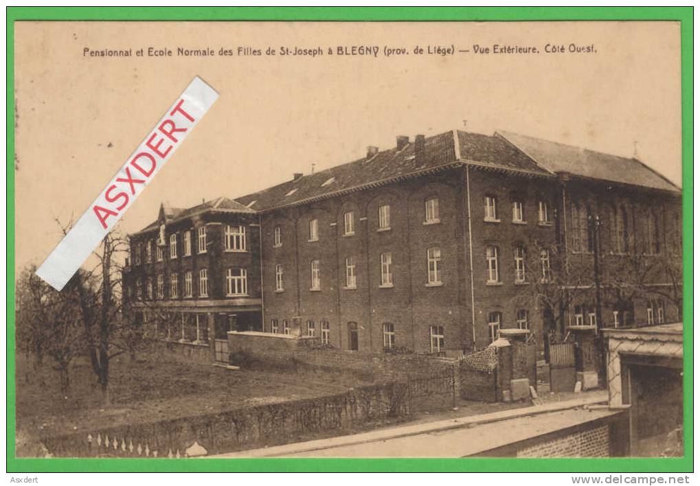 Blegny - Trembleur  Pensionnat / Ecole  Normale Des Filles. Vue Extérieure +/- 1925 - Blegny