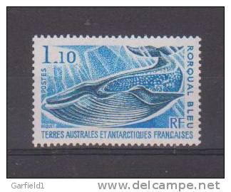 TAAF - Mi.Nr. 113 - Rorqual Bleu - Postfrisch / MNH / (**) - Unused Stamps