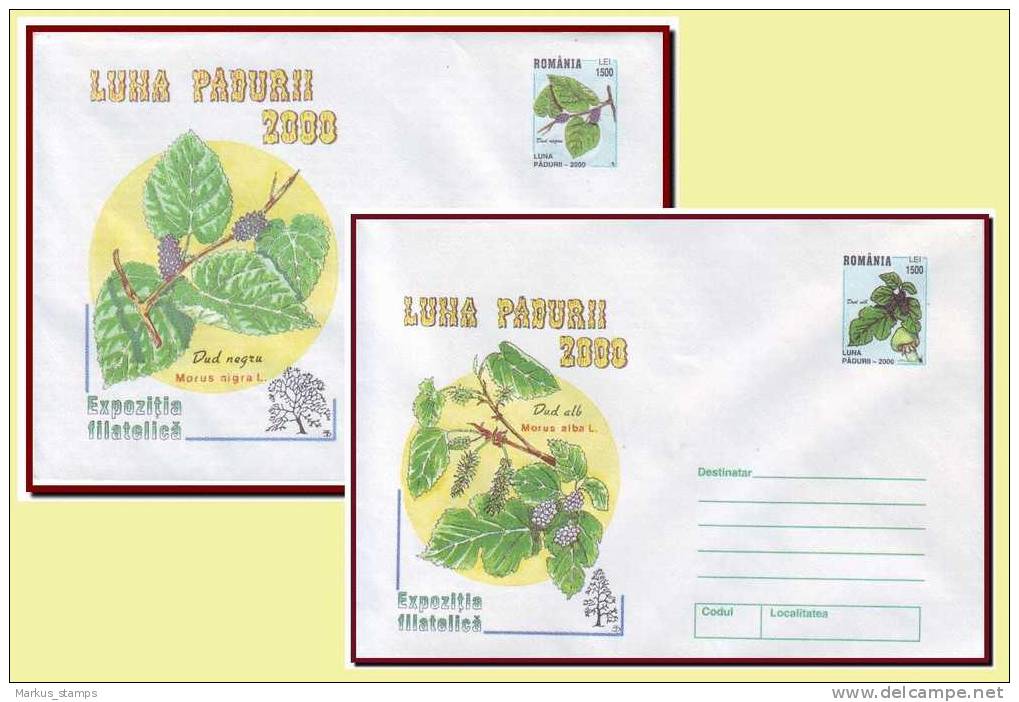 Romania Roumanie 2000 - Forest Month 2 Stationery Covers, Maple, Mushroom, érable Entiers - Postal Stationery