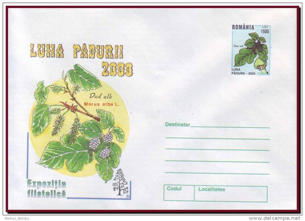 Romania Roumanie 2000 - Forest Month 2 Stationery Covers, Maple, Mushroom, érable Entiers - Ganzsachen