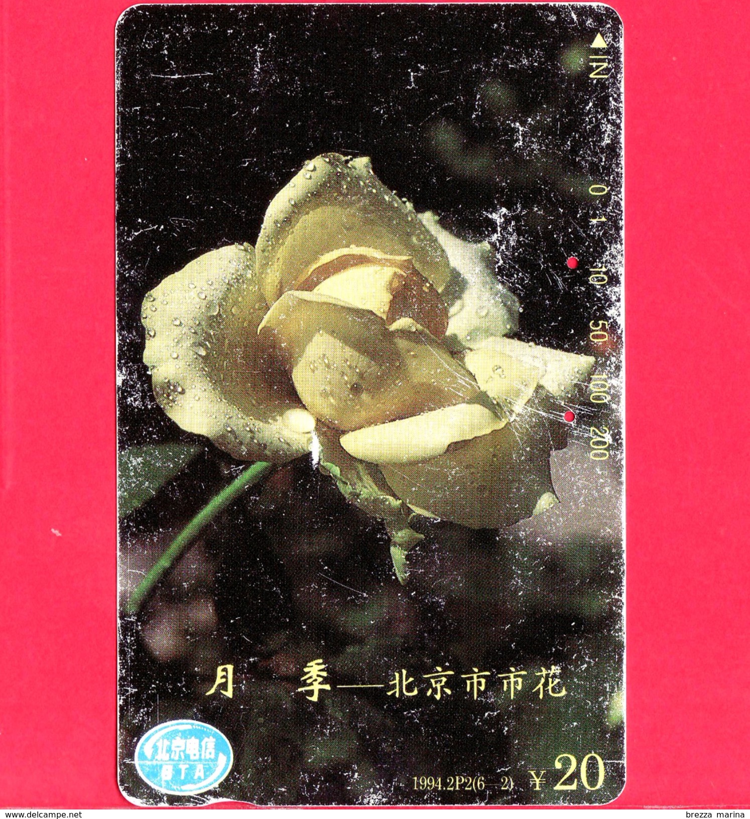 CINA - Scheda Telefonica - 1994 - Chinese Rose - Flower Of Beijing City - TELECOMMUNICATIONS - Tamura - - China