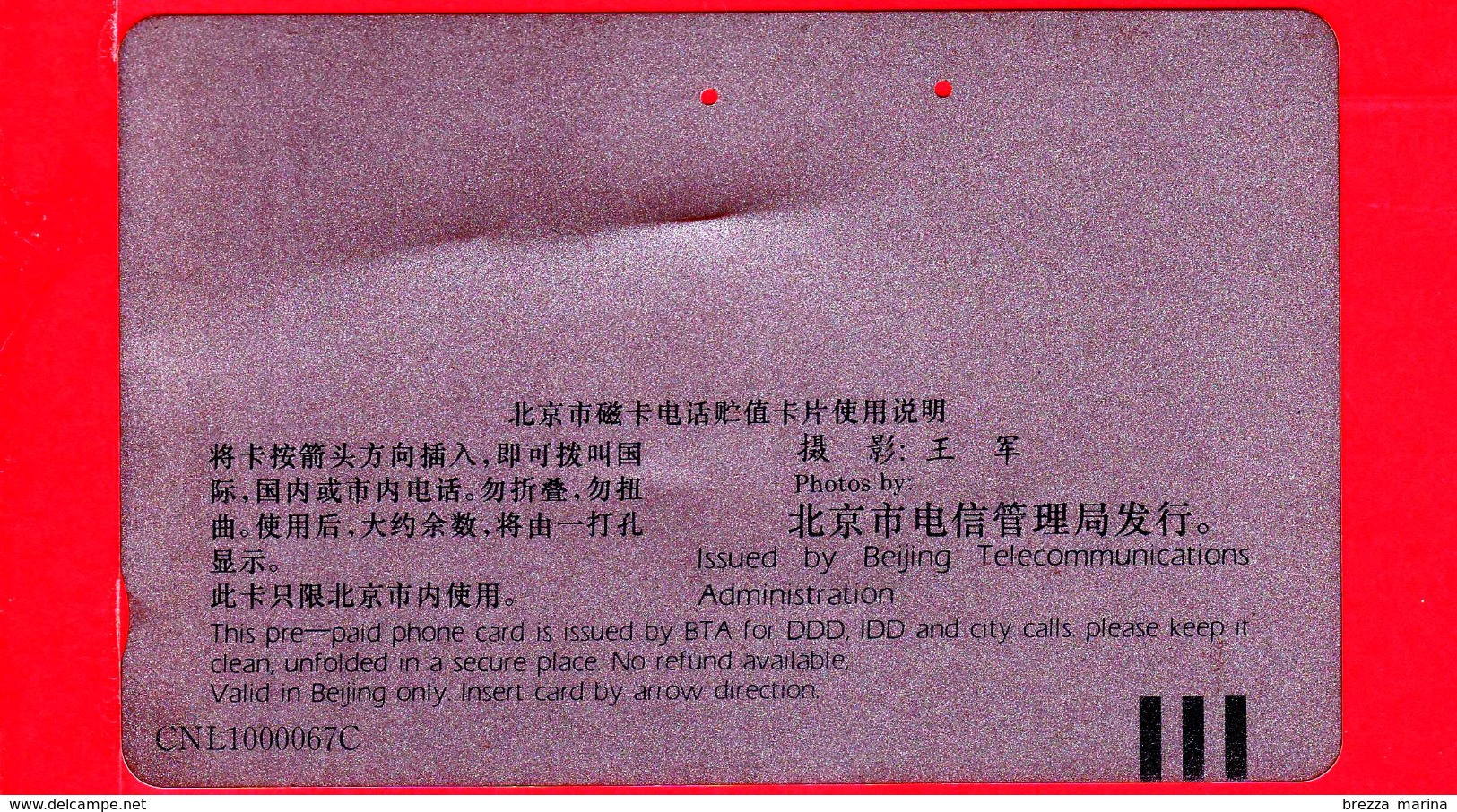 CINA - Scheda Telefonica - 1994 - Chinese Rose - Flower Of Beijing City - TELECOMMUNICATIONS - Tamura - - China