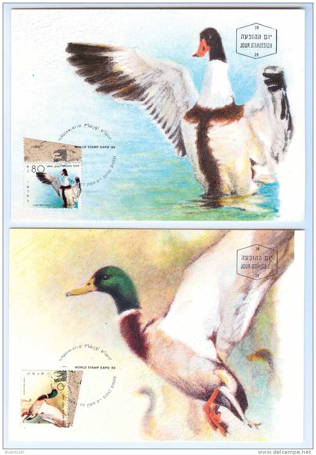 Israel MC - 1989, Michel/Philex No. : MCB.2 Ducks, - MNH - *** - Maximum Card - Cartoline Maximum