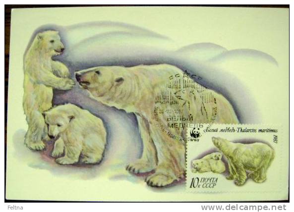 1987 RUSSIA MAXIMUM CARD 3 WHITE POLAR BEAR WWF BEARS - Bears