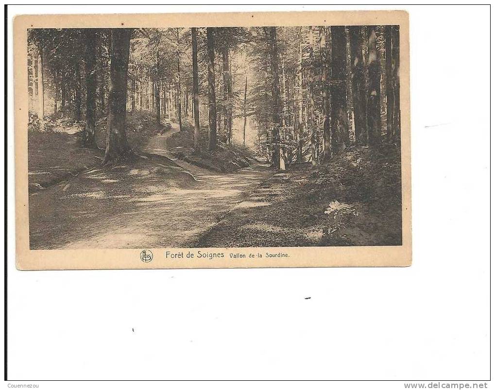 V 183  AUDERGHEM  VALLON DE LA SOURDINE   FORET DE SOIGNES - Bossen, Parken, Tuinen