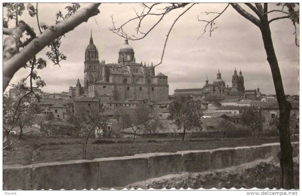 14013    Spagna,  Salamanca,  Las  Catedrales Y  Clerecia,  NV - Salamanca