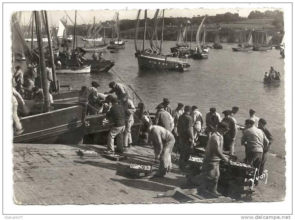 Douarnenez (29) : L´arrivage Des Sardines Au Port   Env 1957 (animée). - Douarnenez