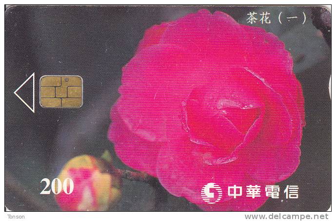 Taiwan, IC9018, Flora, Camellia 1/2, 2 Scans. - Taiwan (Formose)