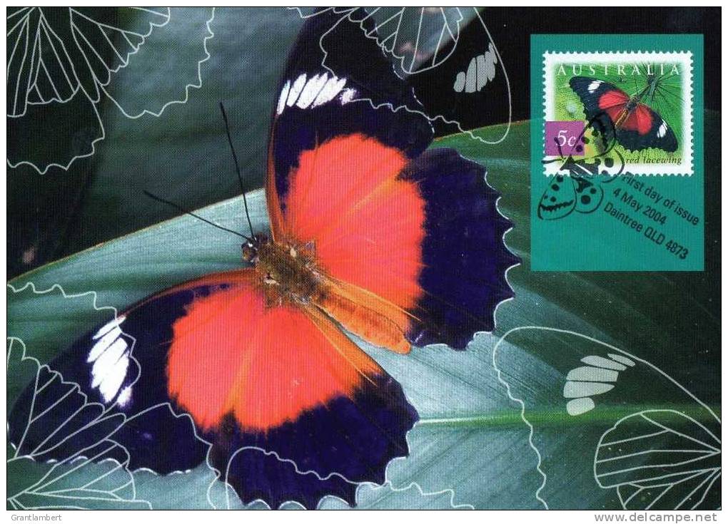 Australia 2004 Nature - Rainforest Butterflies 5c Red Lacewing Maxi Postcard - Other & Unclassified