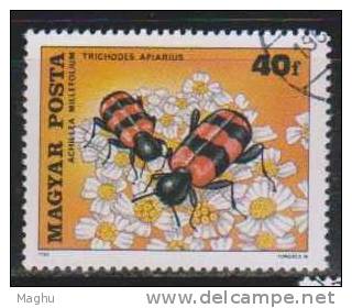 Honeybees, Achillea, Insects, Hungary Used CTO - Abejas