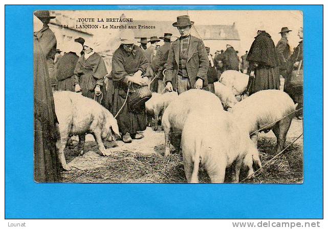 22 LANNION - Le Marché Aux Princes ( En L´état :réparée , Déchirée) - Marktplaatsen