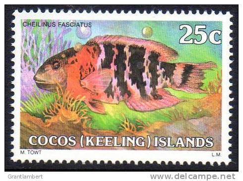 Cocos Islands 1979 Fishes 25c Red-breasted Wrasse MNH  SG 40 - Kokosinseln (Keeling Islands)