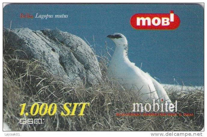 Slovenia Mobile Lagopus Mutus Rock Ptarmigan Bird Birds Grouse Family - Slovénie