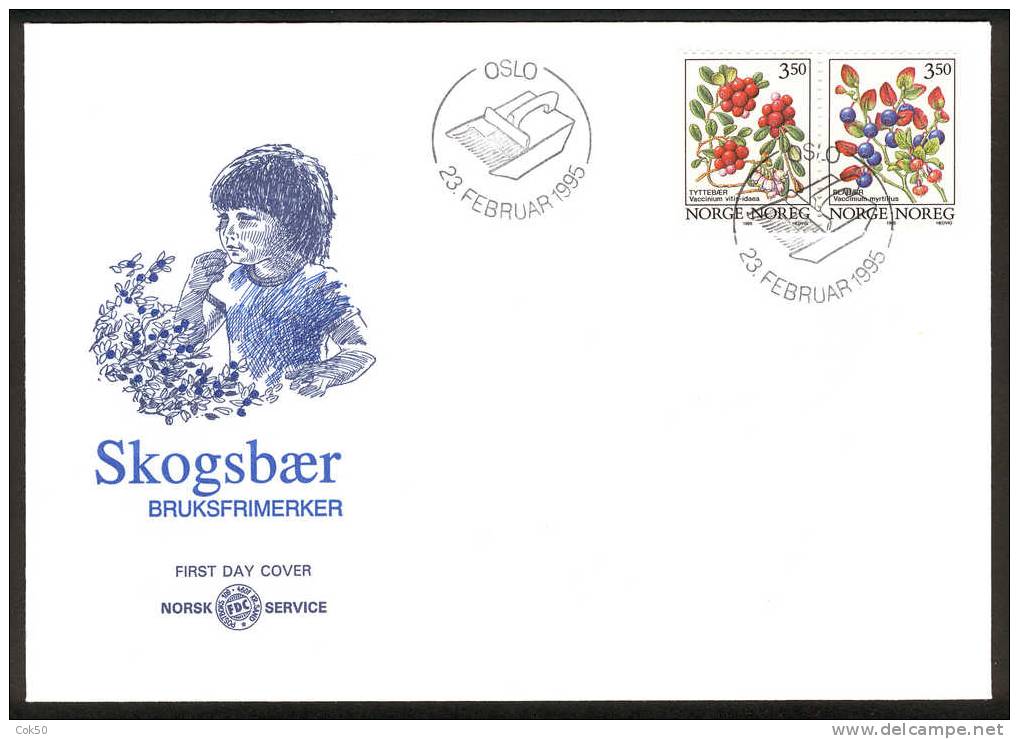 NORWAY FDC 1995 «Blueberries». Perfect, Cacheted Unadressed Cover - FDC