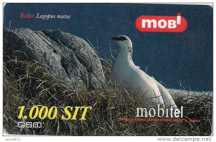 Slovenia Mobile Lagopus Mutus Rock Ptarmigan Bird Birds Grouse Family - Slovénie