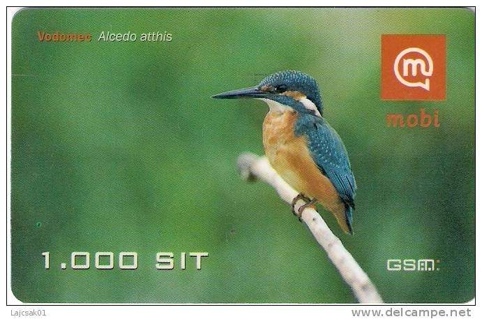 Slovenia Moblie Alcedo Atthis Bird Birds Common Kingfisher - Slowenien