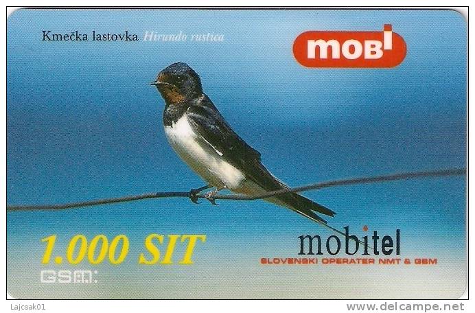 Slovenia Mobile Hirundo Rustica Barn Swallow Bird Birds - Slowenien