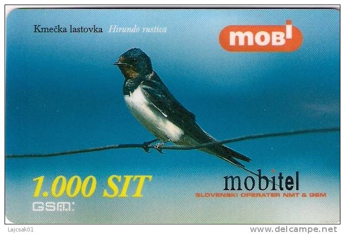 Slovenia Mobile Hirundo Rustica Barn Swallow Bird Birds - Slovénie