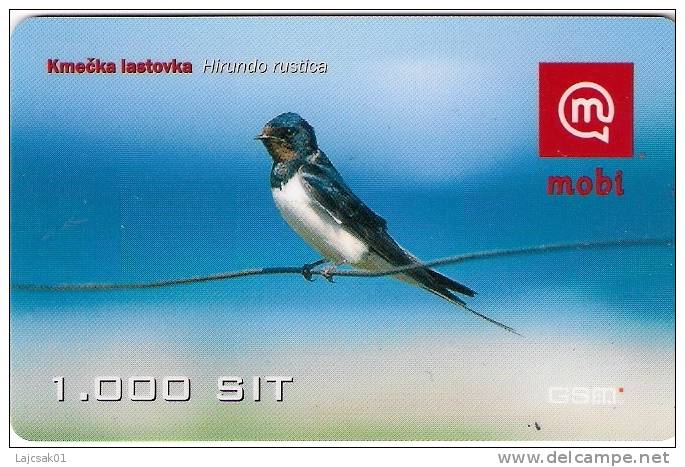 Slovenia Mobile Hirundo Rustica Barn Swallow Bird Birds - Slowenien