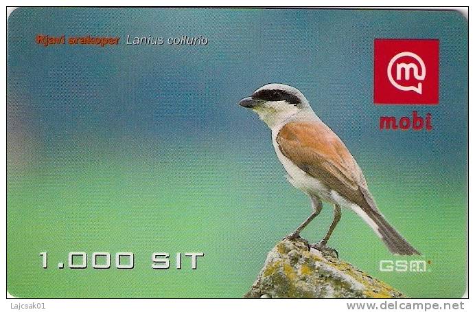 Slovenia Mobile Brown Shrike Lanius Collurio Bird Birds - Slowenien