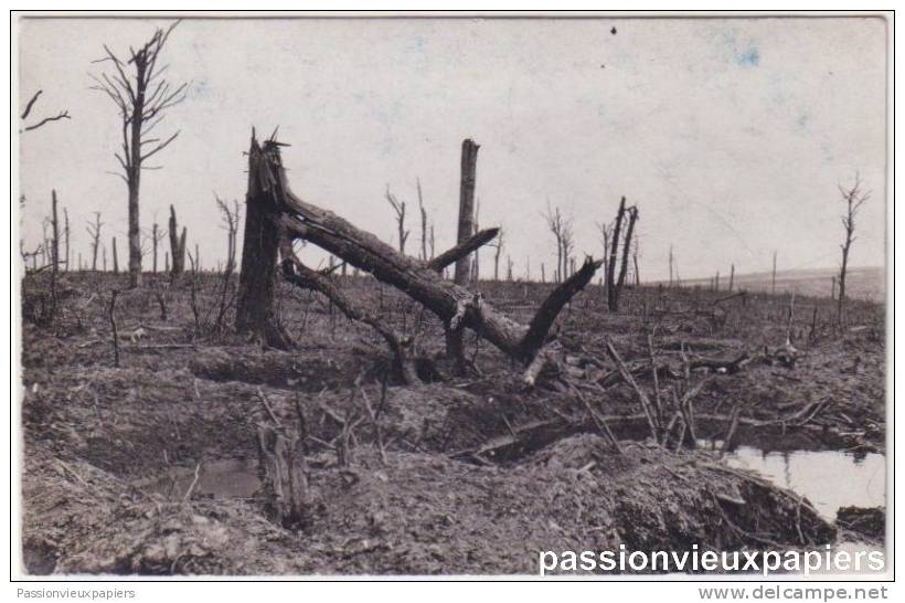 CARTE PHOTO ALLEMANDE:     DER  LEMPF Bei CERNY   (en Laonnois ?) - Autres & Non Classés