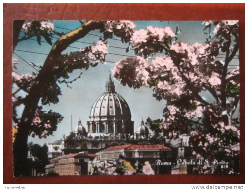 Roma - Cupola Di S Pietro - San Pietro