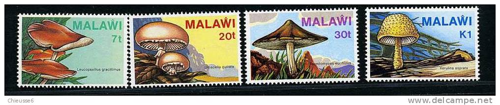 Malawi ** N° 445 à 448  Champignons (lot 2)  (13 P22) - Malawi (1964-...)