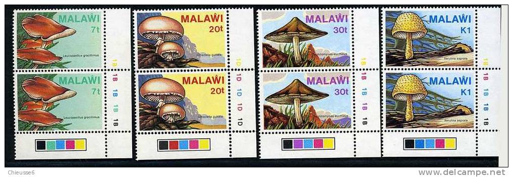 Malawi ** N° 445 à 448 - Paire Verticale -  Champignons (lot 3)  (13 P22) - Malawi (1964-...)