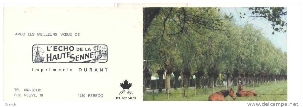 Kalender 1974  Rebecq  L'echo De La Haute Senne /  Imprimerie Durant - Tamaño Pequeño : 1971-80