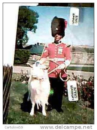 CAPORAL ATTITRE A LA GARDE DE BAPTISTE Capra  MASCOTTE DU ROYAL 22 EME REGIMENT N1980   DA886 - Reggimenti