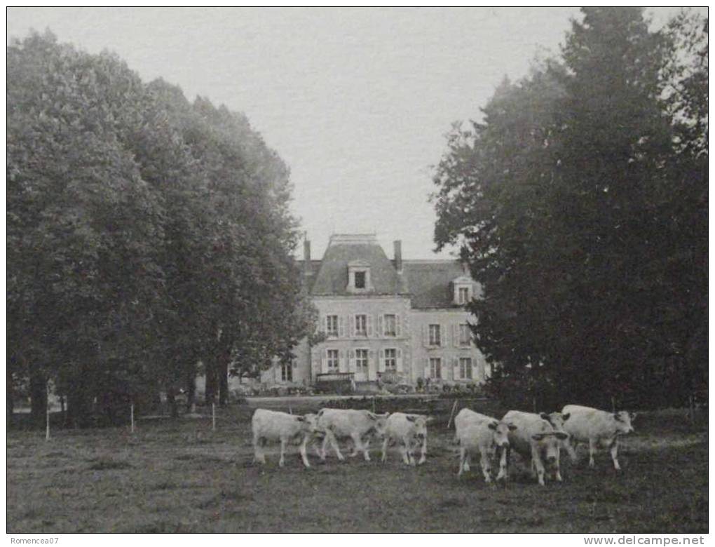 MARCIGNY - Par SAINT-PIERRE-le-MOUTIER - Troupeau Paissant Devant Le Chateau - Non Voyagée - Saint Pierre Le Moutier