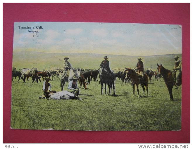 Throwing A Calf  Arizona  1910 Cancel    ===ref 144 - Autres & Non Classés