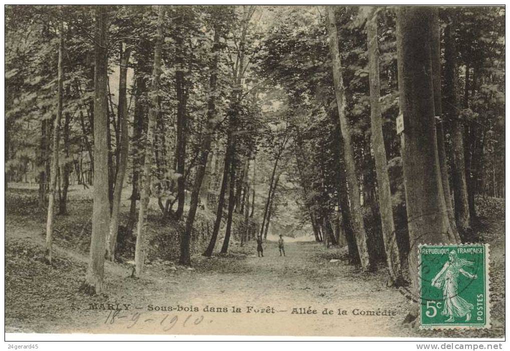 CPA MARLY LE ROI (Yvelines) - Sous Bois Dans La Forêt : Allée De La Comédie - Marly Le Roi