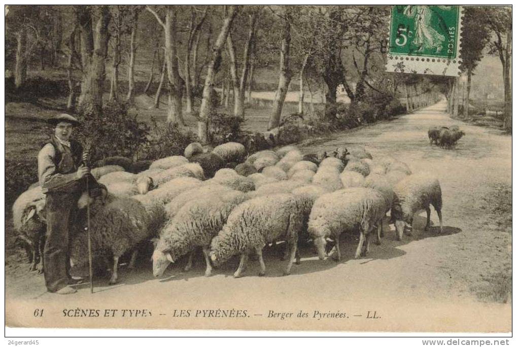 CPA AGRICULTURE ELEVAGE DE MOUTONS DANS LES PYRENEES - Berger Des Pyrénées - Elevage