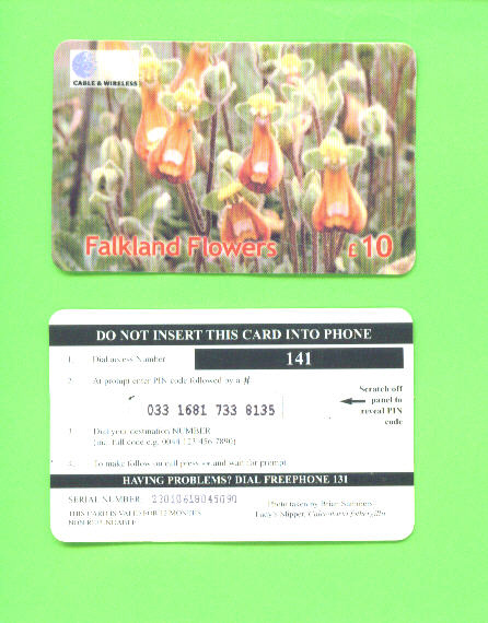 FALKLAND ISLANDS - Remote Phonecard As Scan - Falkland