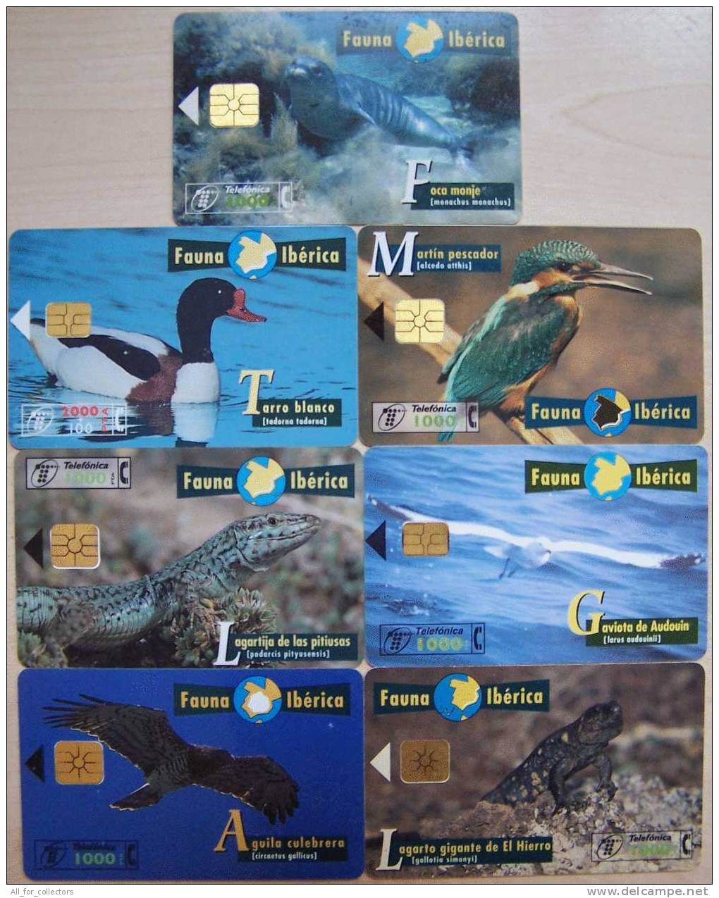 Nice 10 Cards Cartes Karten From SPAIN Espagne Spanien (7 Different) All From Set Fauna Iberica, Birds Lizards Seal - Basisausgaben