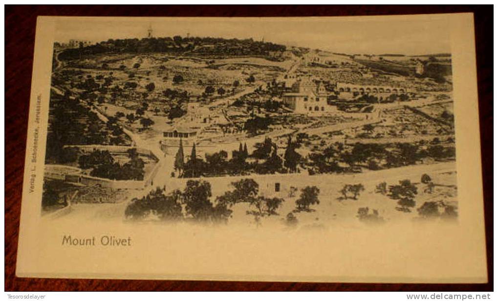 OLD POSCARD MOUNT OLIVET - VERLAG V. L. SCHOENECKE, JERUSALEM -  NOT MOVING. - Palestina