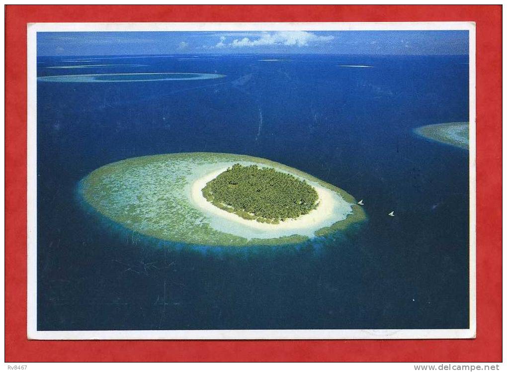 * Carte D'Îles Maldives-1981(Voir Le Timbre Et Les Tampons Au Dos) - Maldivas