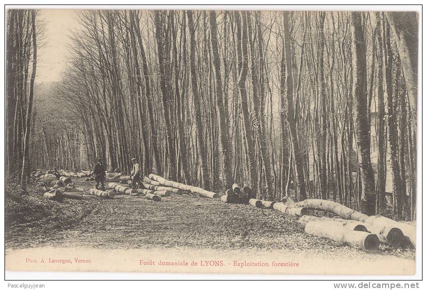 CPA FORET DOMANIALE DE LYONS - EXPLOITATION FORESTIERE - Lyons-la-Forêt