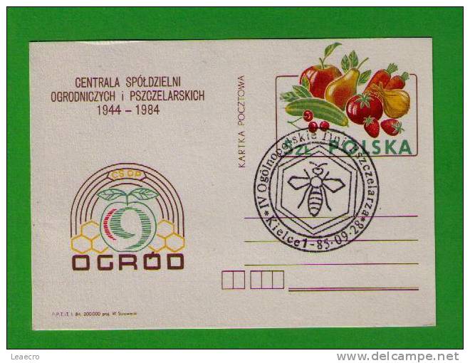 Bees Abeilles Insects Insectes Polska Fruits Entier Postal Stationery Faune Animals Animaux Gc947 - Abejas