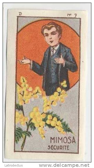 Jacques - 1933 - Fleurs, Flowers, Bloemen - D7 - Mimosa - Jacques